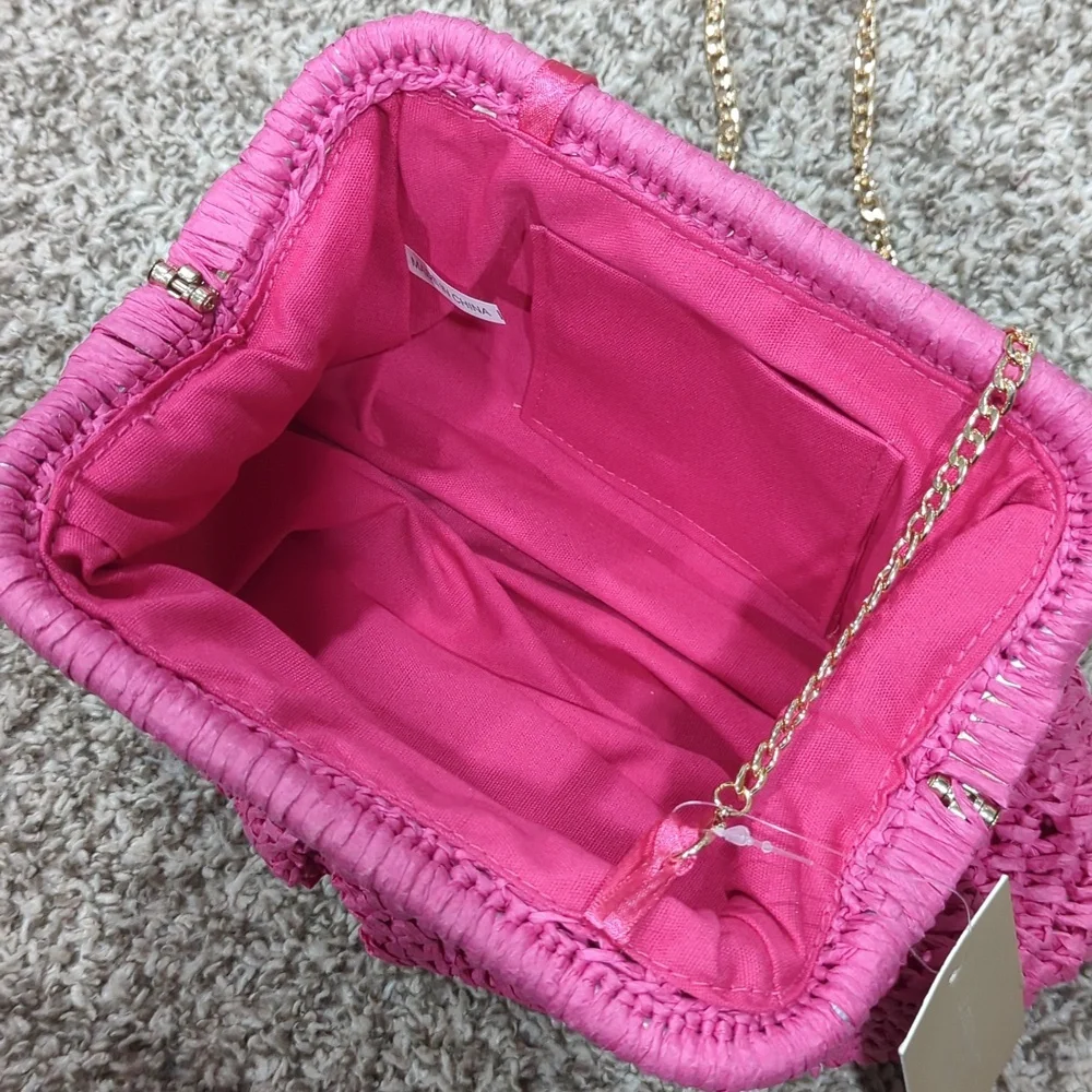 D'margeaux New York Fushia Woven Handbag Gold Chain Purse NWT